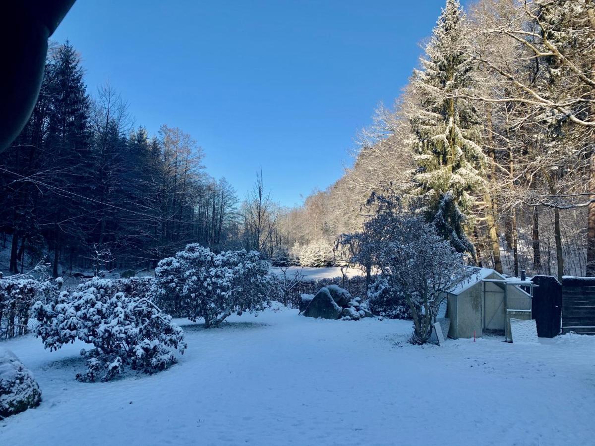 Ferienhaus Jaegerhaus Oppach Privathaus Bagian luar foto