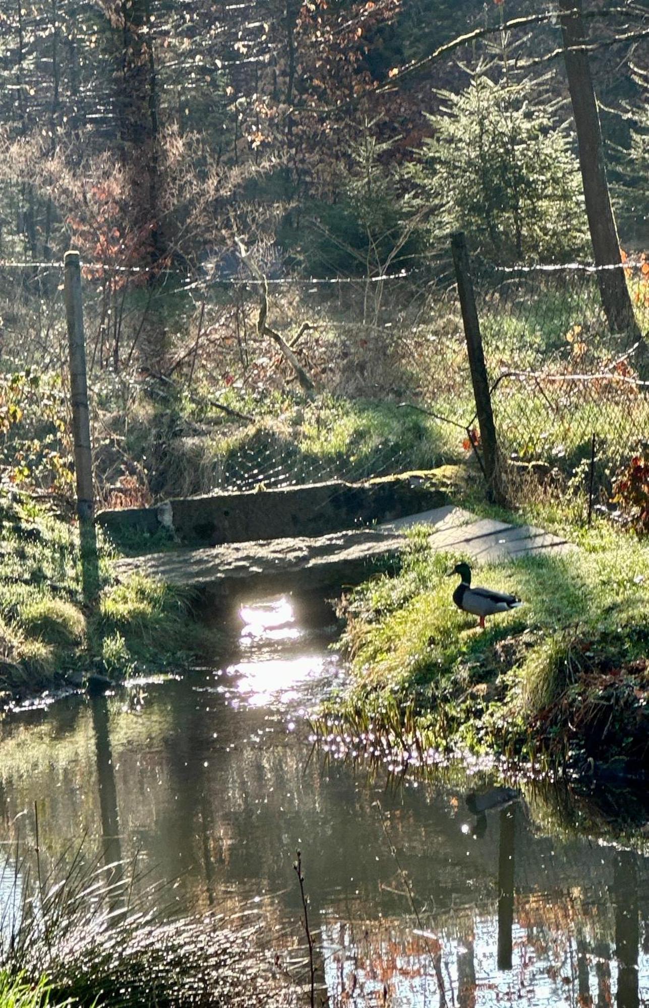 Ferienhaus Jaegerhaus Oppach Privathaus Bagian luar foto
