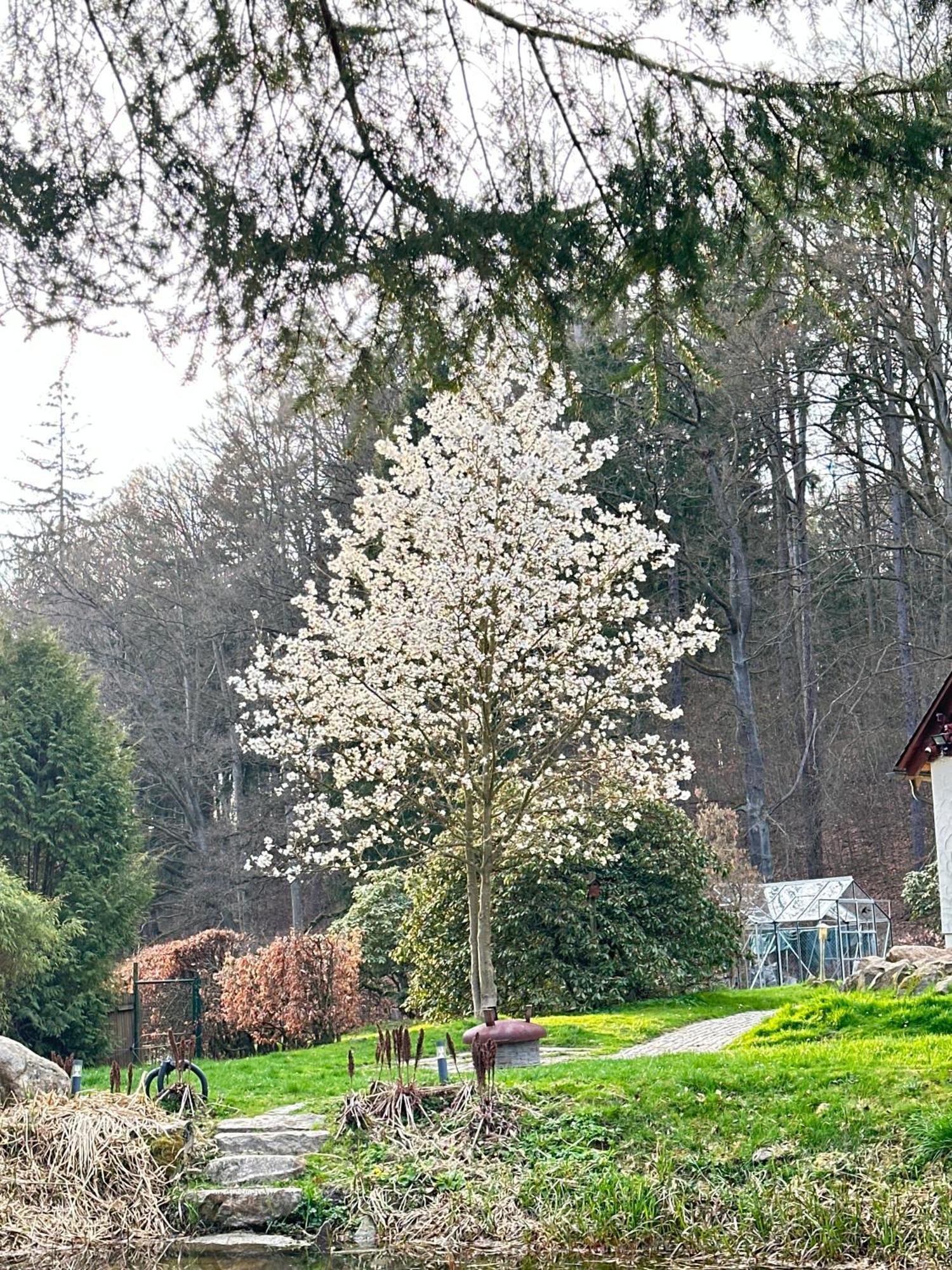 Ferienhaus Jaegerhaus Oppach Privathaus Bagian luar foto