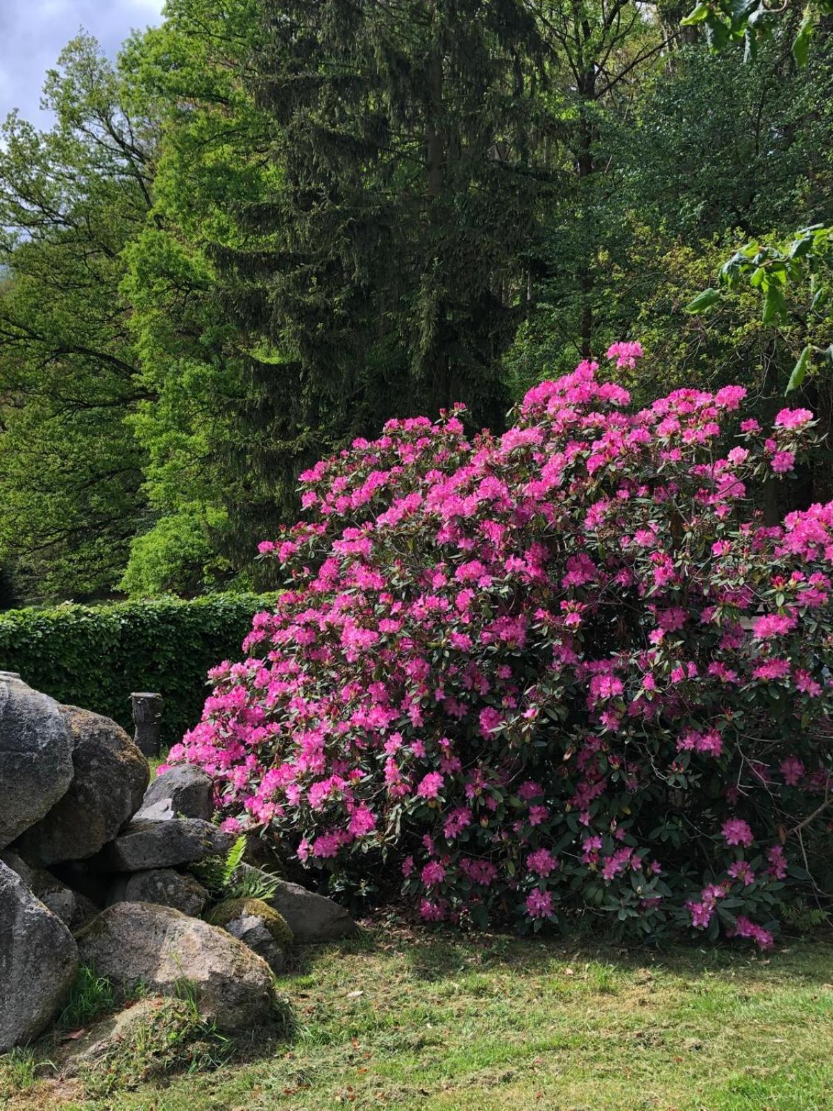 Ferienhaus Jaegerhaus Oppach Privathaus Bagian luar foto