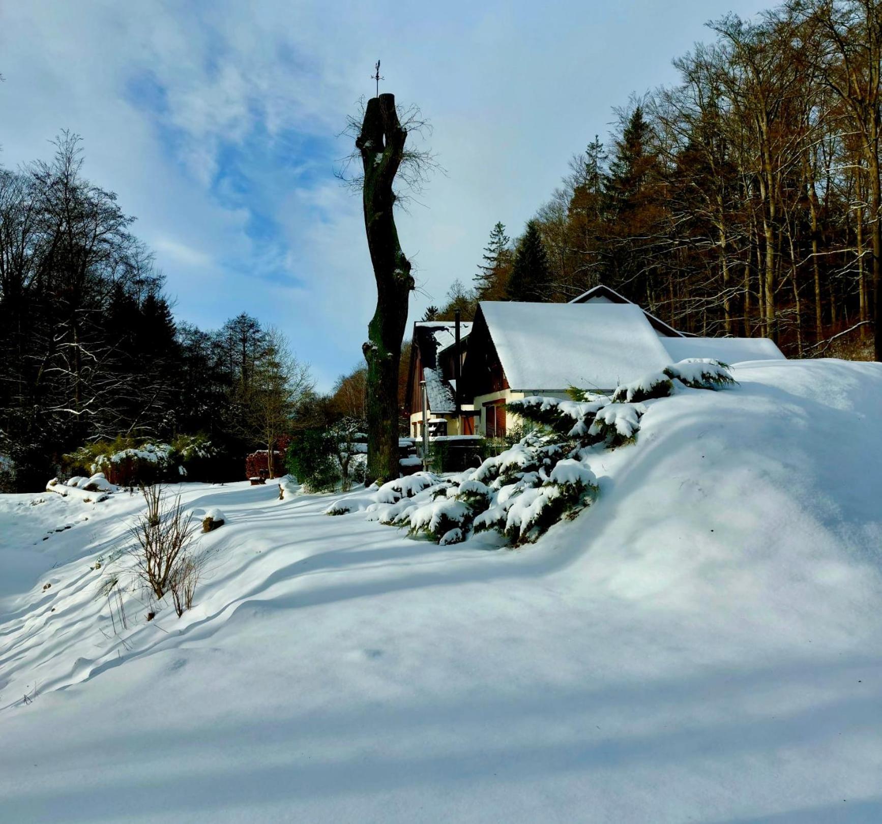 Ferienhaus Jaegerhaus Oppach Privathaus Bagian luar foto